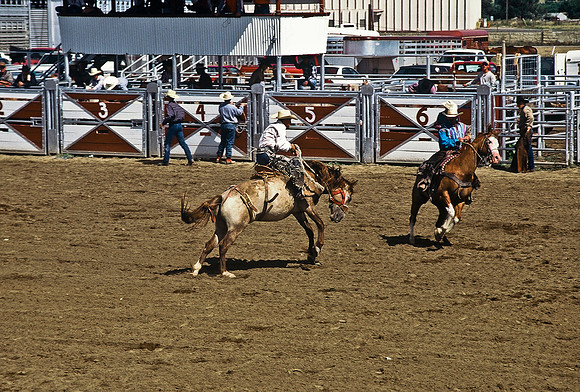 47494_B6_SL_COLOR_TRINIDAD_RODEO_CO_97_12.jpg