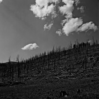 7549_B3P1_11_BW_SQ_MT_01.jpg