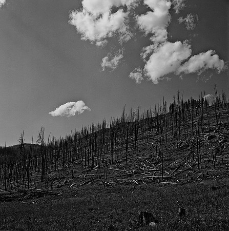 7549_B3P1_11_BW_SQ_MT_01.jpg