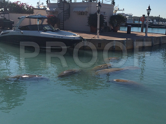 IMG_2536