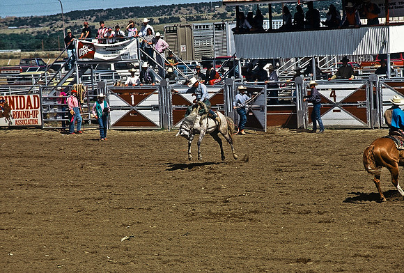 47494_B6_SL_COLOR_TRINIDAD_RODEO_CO_97_13.jpg