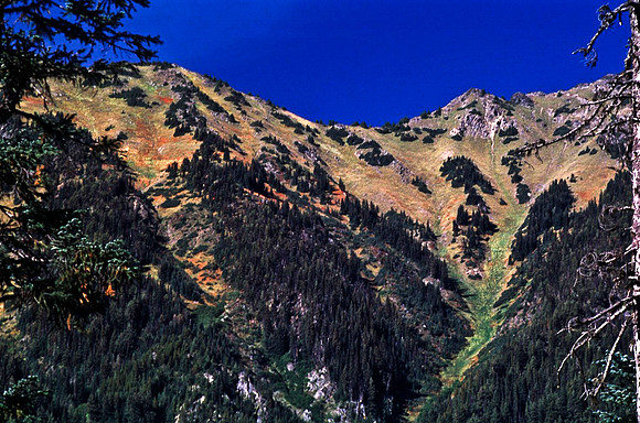 06814_B19_SL_COLOR_WHISTLER_TO_LIBOOER_TO_KAMLOOPS_WS_97_13.jpg
