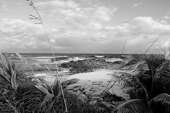 36163_DG_BW_USA_Harbour_Island_Bahamas_Related_GroupZV4N1753