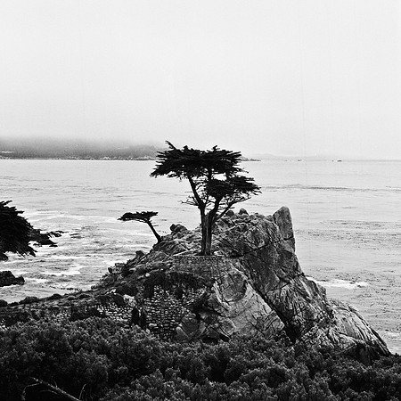 2368_FM_BW_CARMEL_CA_02_6.jpg