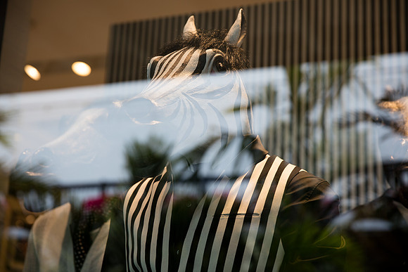 20160417_Mannequins_and_Windows_075A0079