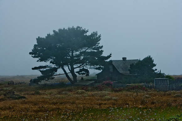 06590_ZV4N_2643_DG_COLOR_MENDOCINO_CALIFORNIA_CA_USA_2007_USA