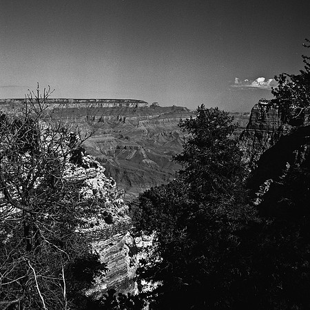 6135_FM_COLOR_SQ_SEDONA_AZ_05_2.jpg