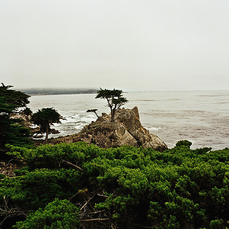 2369_FM_COLOR_CARMEL_CA_02_1.jpg