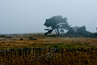 06590_ZV4N_2648_DG_COLOR_MENDOCINO_CALIFORNIA_CA_USA_2007_USA
