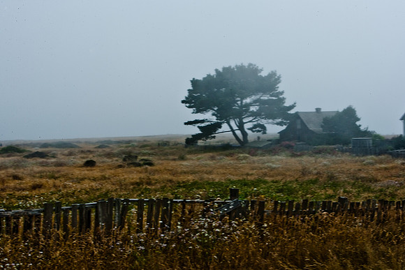 06590_ZV4N_2648_DG_COLOR_MENDOCINO_CALIFORNIA_CA_USA_2007_USA