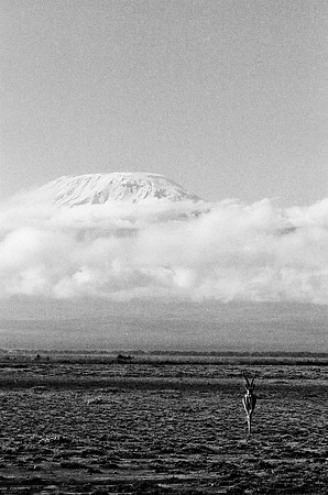 B3_82005_BW_194_New_Masa_Mara_Africa_89_18