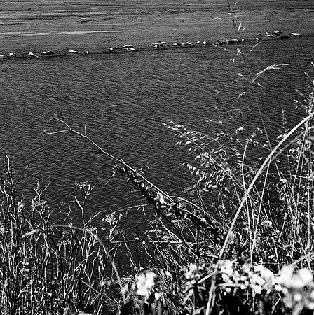 2378_FM_BW_SQ_SAN_FRANCISCO_CA_02.jpg