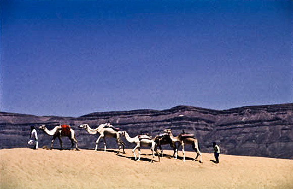 3191_SL_COLOR_TAMGROUTE_DUNES_MAROCCO_II_1998_8