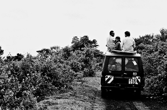B3_82001_BW_194_New_Safari_Lion_Track_Africa_89_4