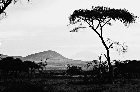 B3_82007_BW_194_New_Masa_Mara_Africa_89_26