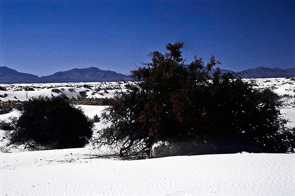 47895_B16_SL_COLOR_LA_MESILLA0_TO_WHITE_SOUNDS_NAT_MNY_HWY20_NM_97_3616.jpg