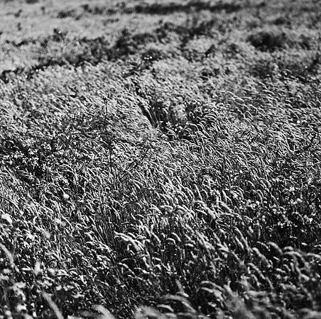 2379_FM_BW_SQ_MENDOCINO_CA_02_3.jpg