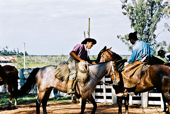 2624_FM_COLOR_35MM_PORTO_ALEGRE_BRAZIL_2004_20