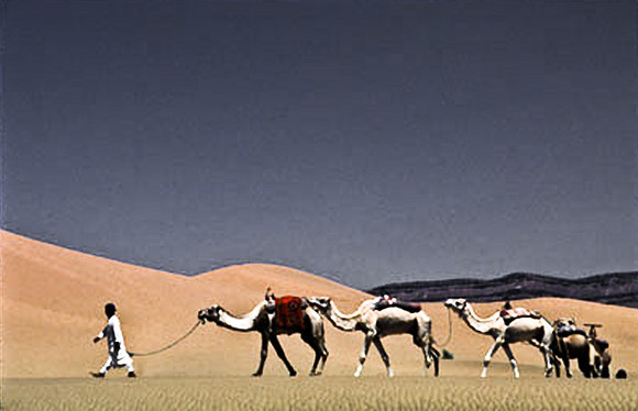 3193_SL_COLOR_TAMGROUTE_DUNES_MAROCCO_II_1998_19