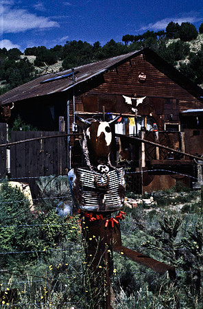 47799_B13_SL_COLOR_TUROUISE_TRAIL_NEW_MEXICO_97_6.jpg