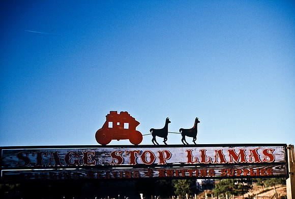 47457_B5_SL_COLOR_CRIPPLE_CREEK_HWY7_TO_FLORISSANT_COLORADO_WY_97_08.jpg