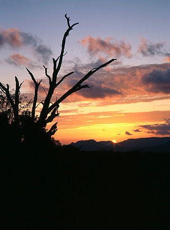 4000_20080719_ADS_Mexican_Landscape_Mexico_013