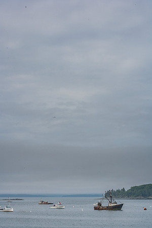 20060627_Maine_ZV4N1004