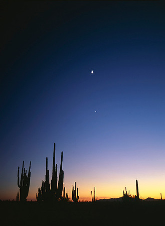 4000_20080719_ADS_Mexican_Landscape_Mexico_023