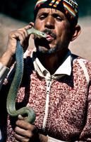 3239_SL_COLOR_TAROUDANNT_MAROCCO_II_1998_15