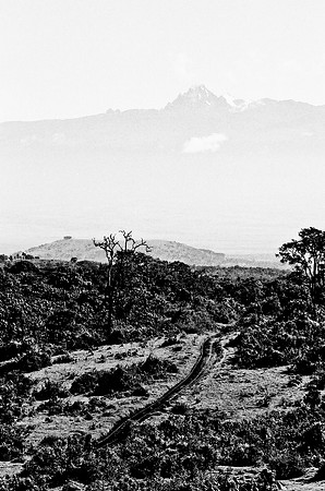 B3_82008_BW_194_New_Amboseli_Africa_89_15