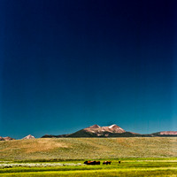 2408_FM_COLOR_ID_02_7.jpg