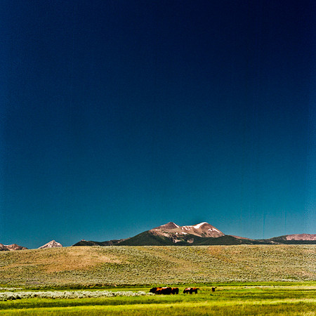 2408_FM_COLOR_ID_02_7.jpg