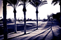 0031_La_Arizona_5L8Y5083-2