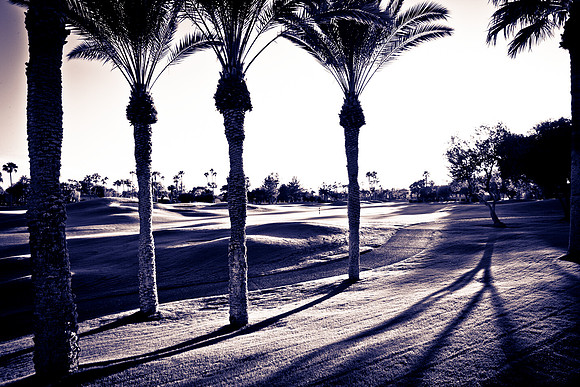 0031_La_Arizona_5L8Y5083-2