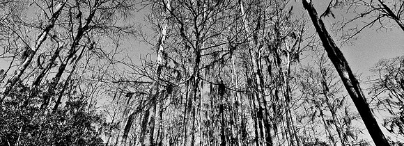 7749_FL_BW_LOUISIANA_01_5.jpg