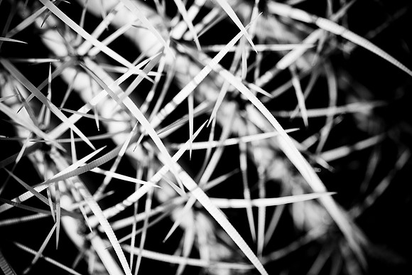 0031_La_Arizona_5L8Y5175