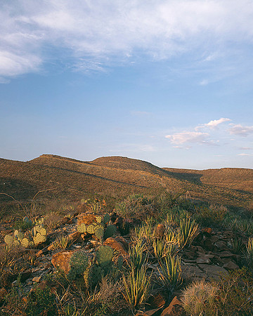 4000_20080719_ADS_Mexican_Landscape_Mexico_048