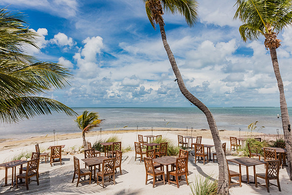 20160714_Key_West_Little_Palm__75A0608
