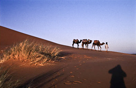 3208_SL_COLOR_MERZOUGA_SHAHARA_MAROCCO_II_1998_2