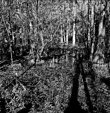 7747_FL_BW_LOUISIANA_01_4.jpg
