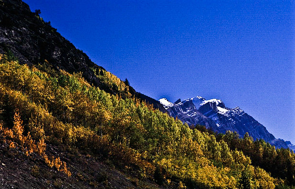 06833_B19_SL_COLOR_SASKATCHEWAN_RIVER_CROSSING_ICEFIELD_HWY93_TO_JASPER_BC_WS_97_10.jpg