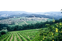 37339_SL_COLOR_ITALY_2000_6