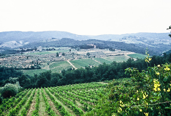 37339_SL_COLOR_ITALY_2000_6