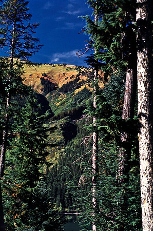 06814_B19_SL_COLOR_WHISTLER_TO_LIBOOER_TO_KAMLOOPS_WS_97_04.jpg