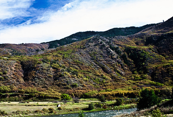 47460_B5_SL_COLOR_FROM_BUENA_VISTA_TO_LEADVILLE_TO_VAIL_COLORADO_WY_97_08.jpg