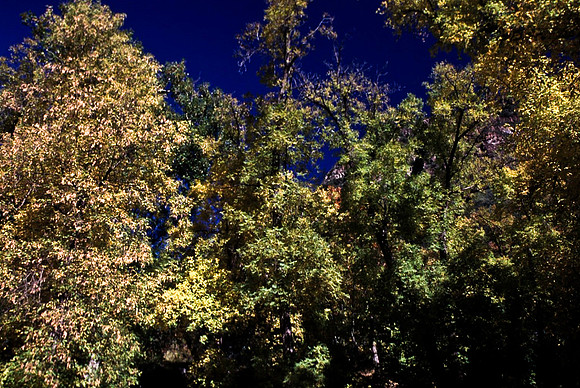 47686_B12_SL_COLOR_FLAGSTAFF TO SEDONA_AZ_97_01.jpg