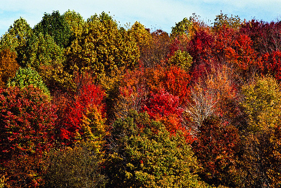 0258_FM_COLOR_MINESOTA_99_67.jpg