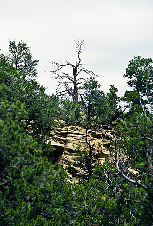 47496_B6_SL_COLOR_TRINIDAD_RODEO_CO_97_03.jpg
