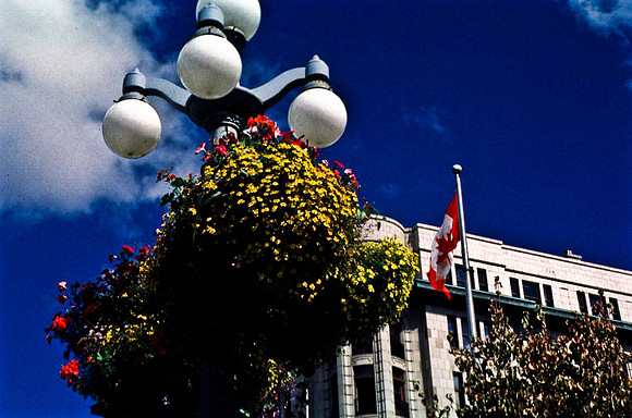 06808_B19_SL_COLOR_VICTORIA_WS_97_07.jpg