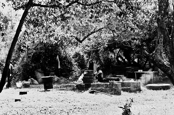 B3_82001_BW_194_New_Safari_Lion_Track_Africa_89_24